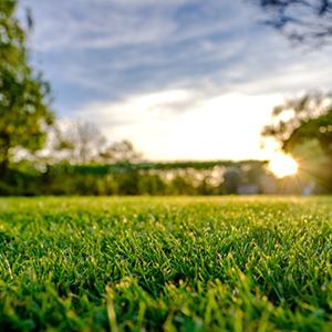 606c07c52dc5c.jpg 606c07c52dc5c.jpg