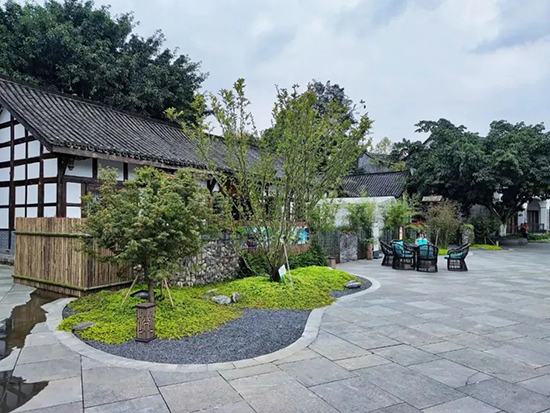 632d20fc5caed.jpg 微信圖片_20220923105728.jpg