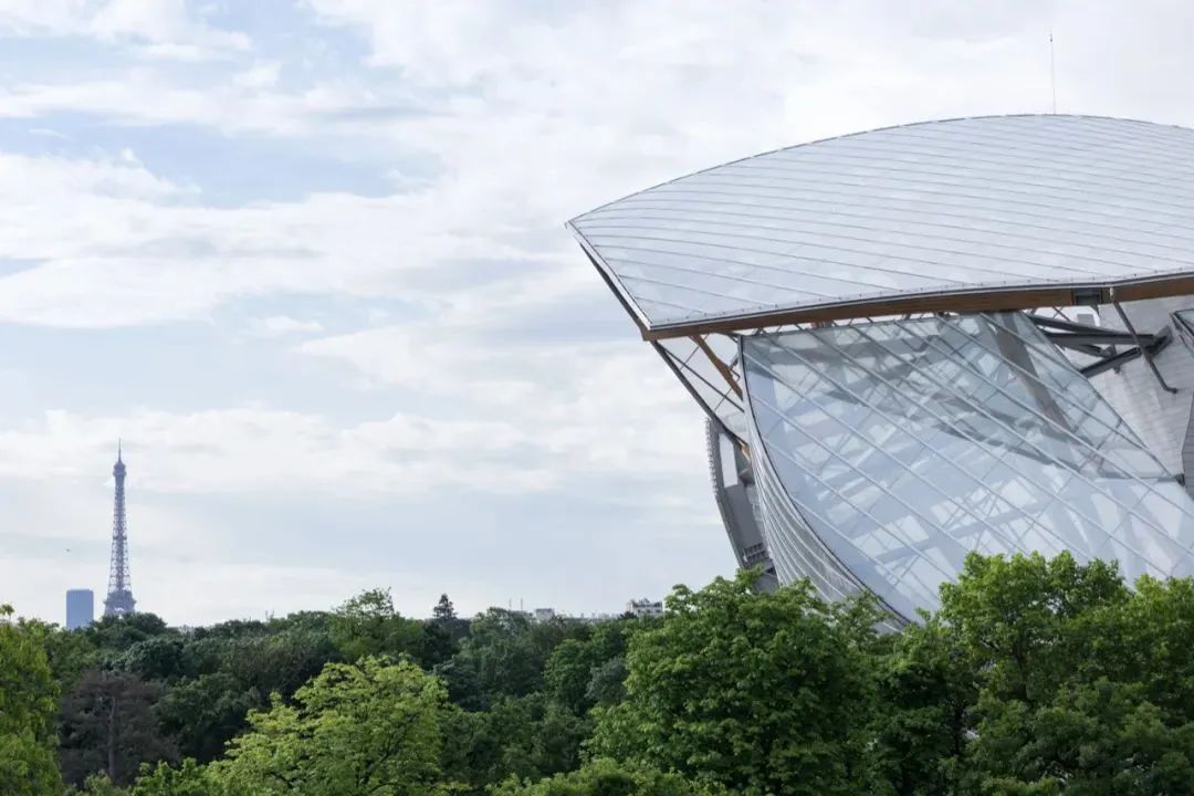 648aa84e22bf8.jpg 16.jpg