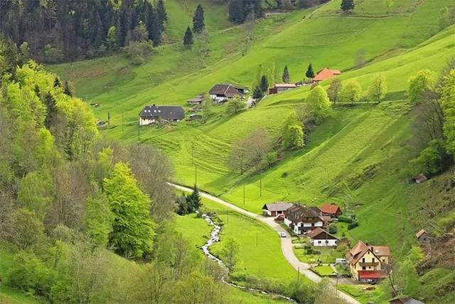 6492a696a6575.jpeg 1a.jpeg