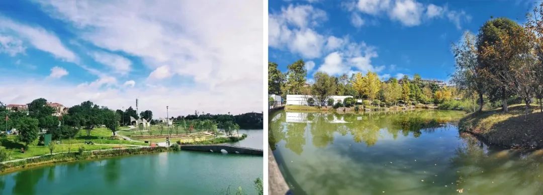 64c20f78c41a7.jpg 640.jpg