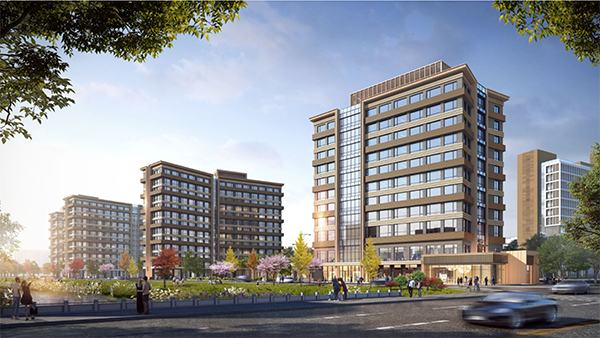 667e5226d52db.jpg b.jpg