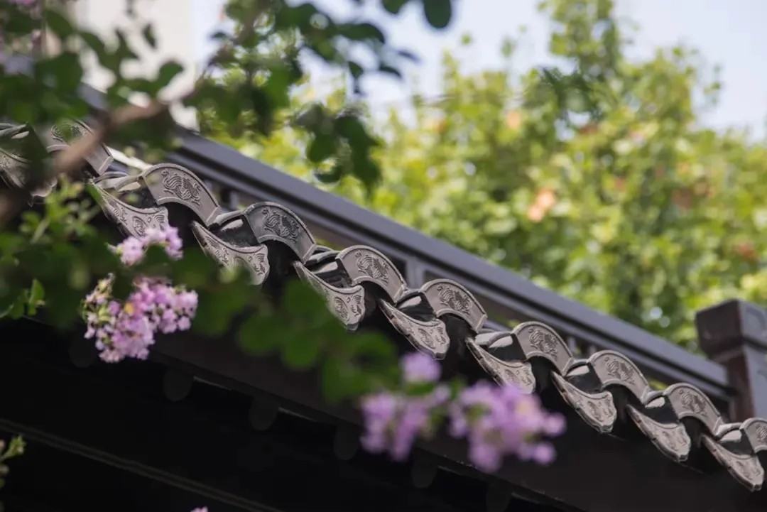 66ebb98d2f687.jpg 66ebb98d2f687.jpg