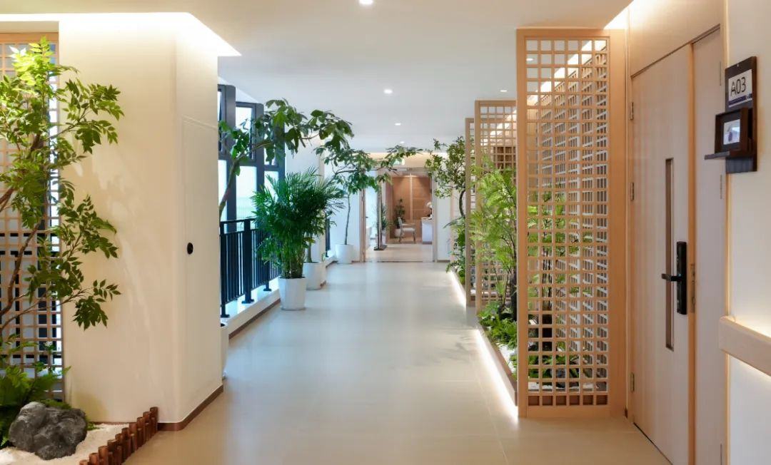 67496faa48fc9.jpg 67496faa48fc9.jpg