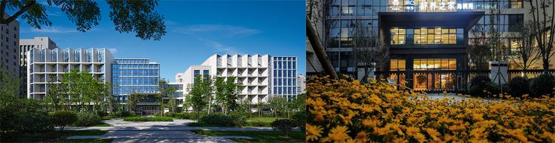 67fdc515c78ed.jpg 3.jpg